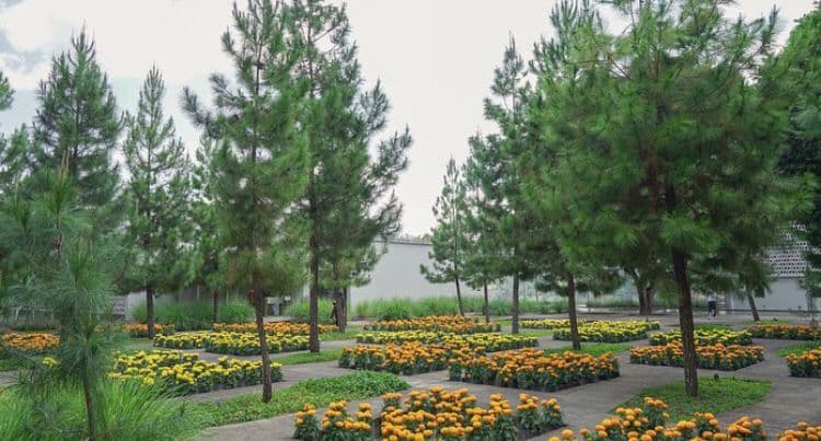 Rumah Atsiri Indonesia